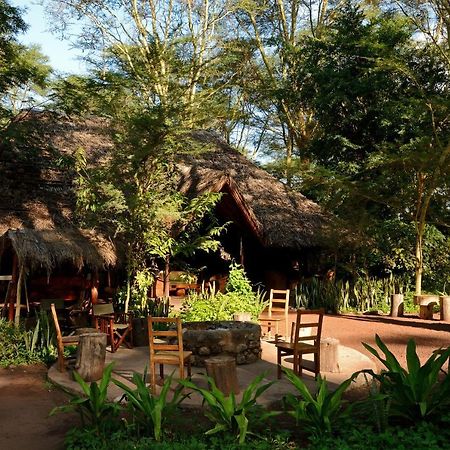 Migunga Tented Camp Mto wa Mbu Kültér fotó