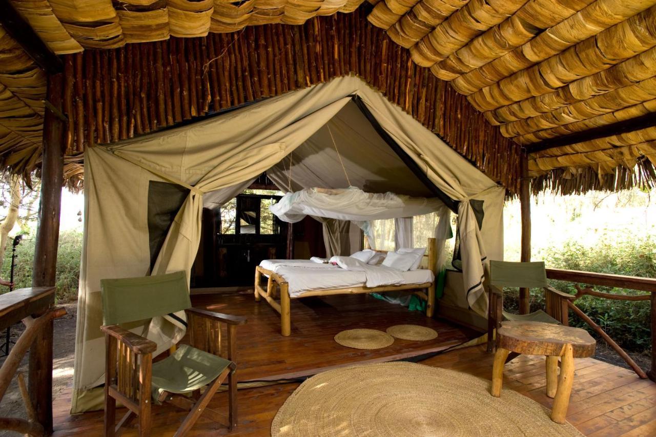 Migunga Tented Camp Mto wa Mbu Kültér fotó