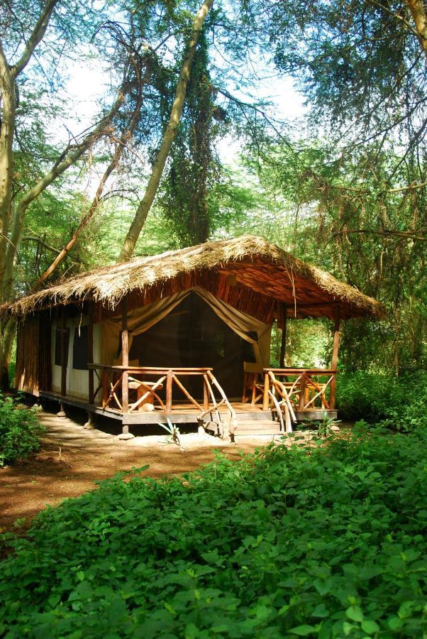 Migunga Tented Camp Mto wa Mbu Kültér fotó