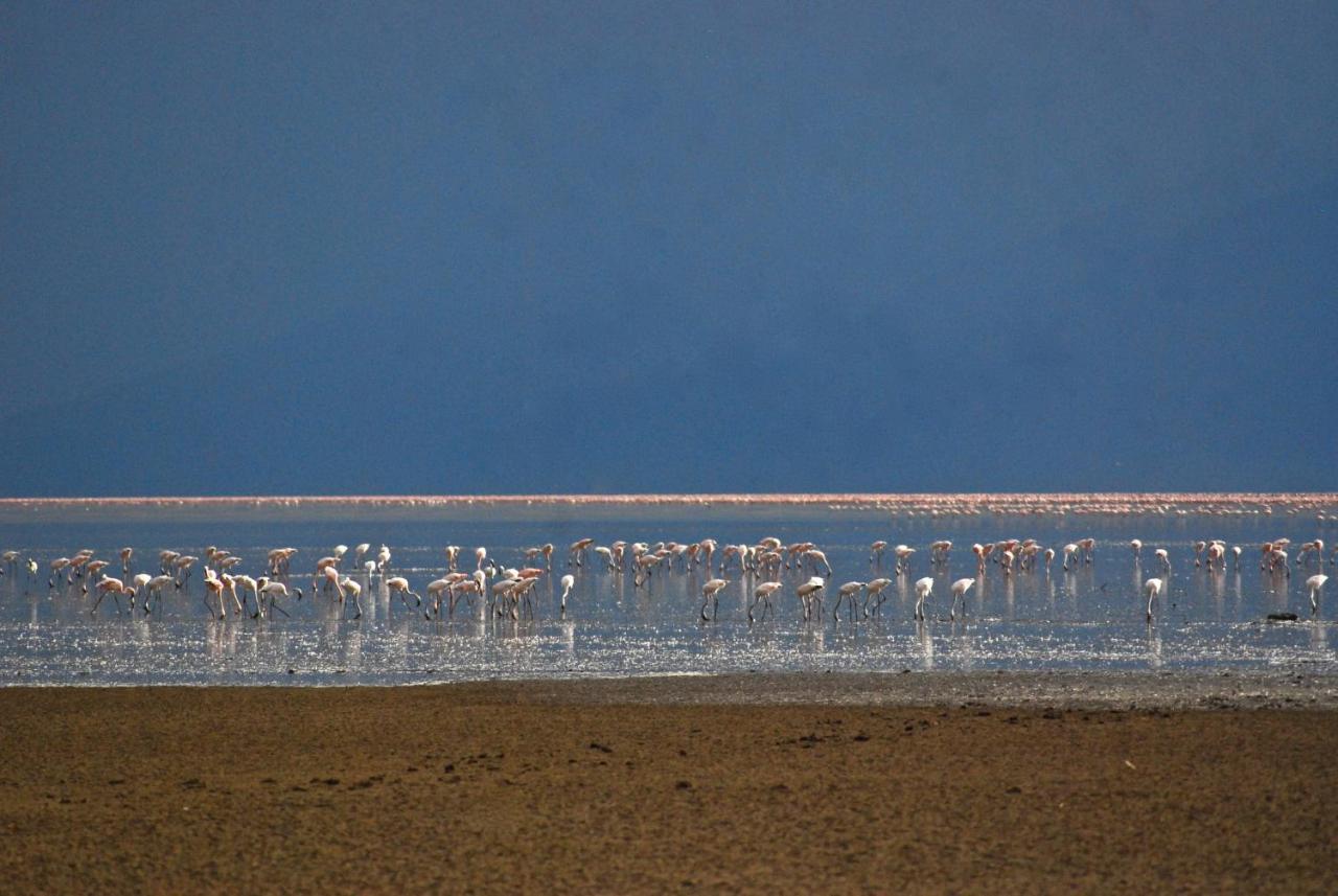 Migunga Tented Camp Mto wa Mbu Kültér fotó